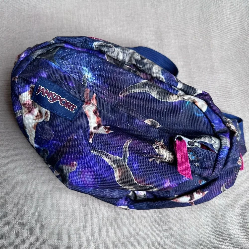 Jansport Galaxy Cat Dog Fanny Pack - Blue and Pink - Picture 1 of 8